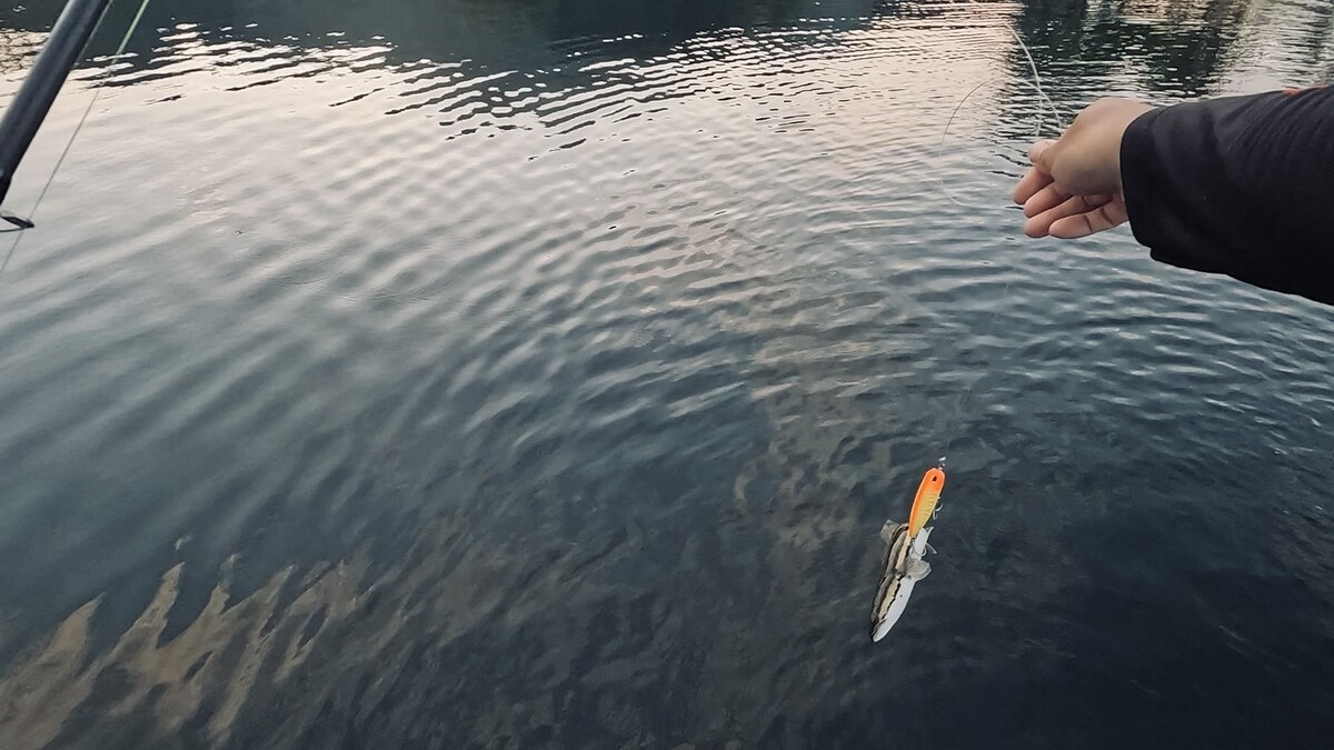 เมื่อเข้าระยะที่ผมมั่นใจว่าตีเบ็ด