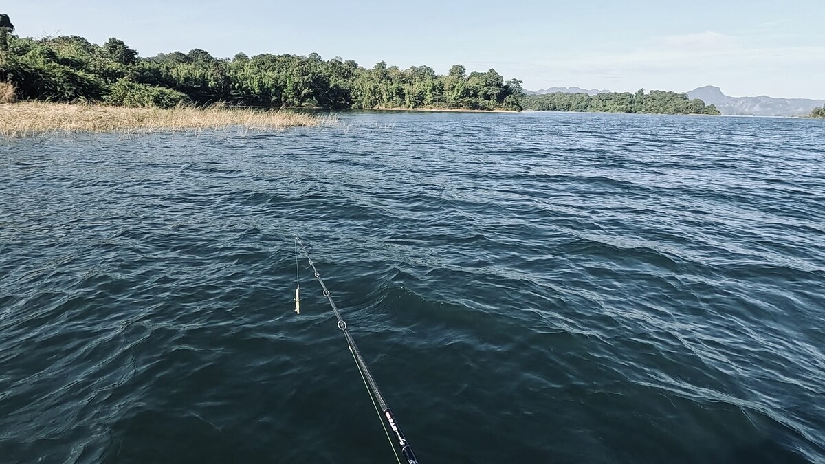 เราตามครอกนี้อีกสักพัก แต่มันก็ยัง