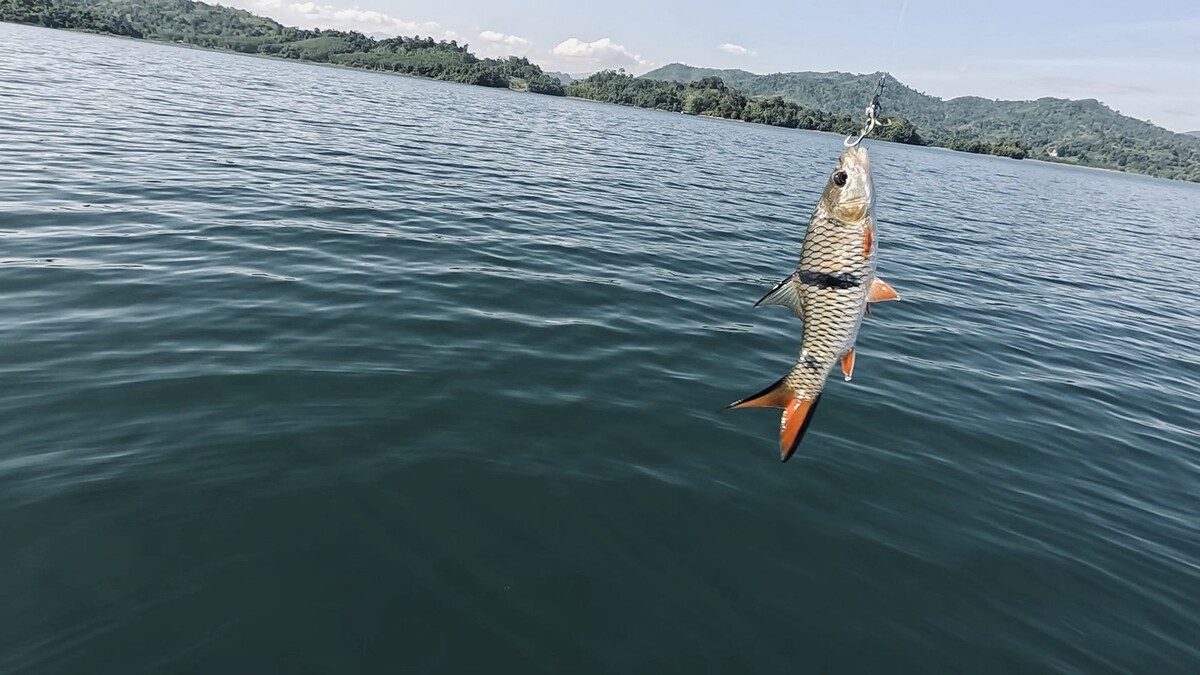 เกาะจมบางลูกที่ลมไม่เข้าเต็มๆ ก็ยั