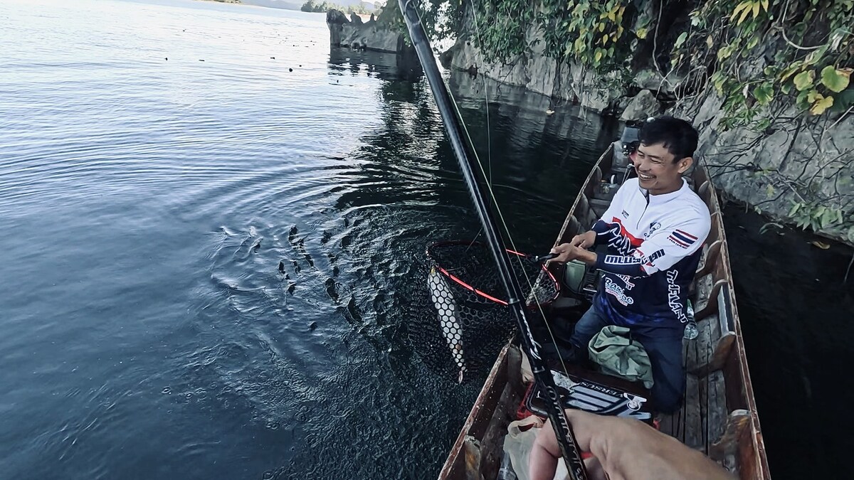 เมื่อเก็บสายเข้ามาได้ระยะก็เห็นตั