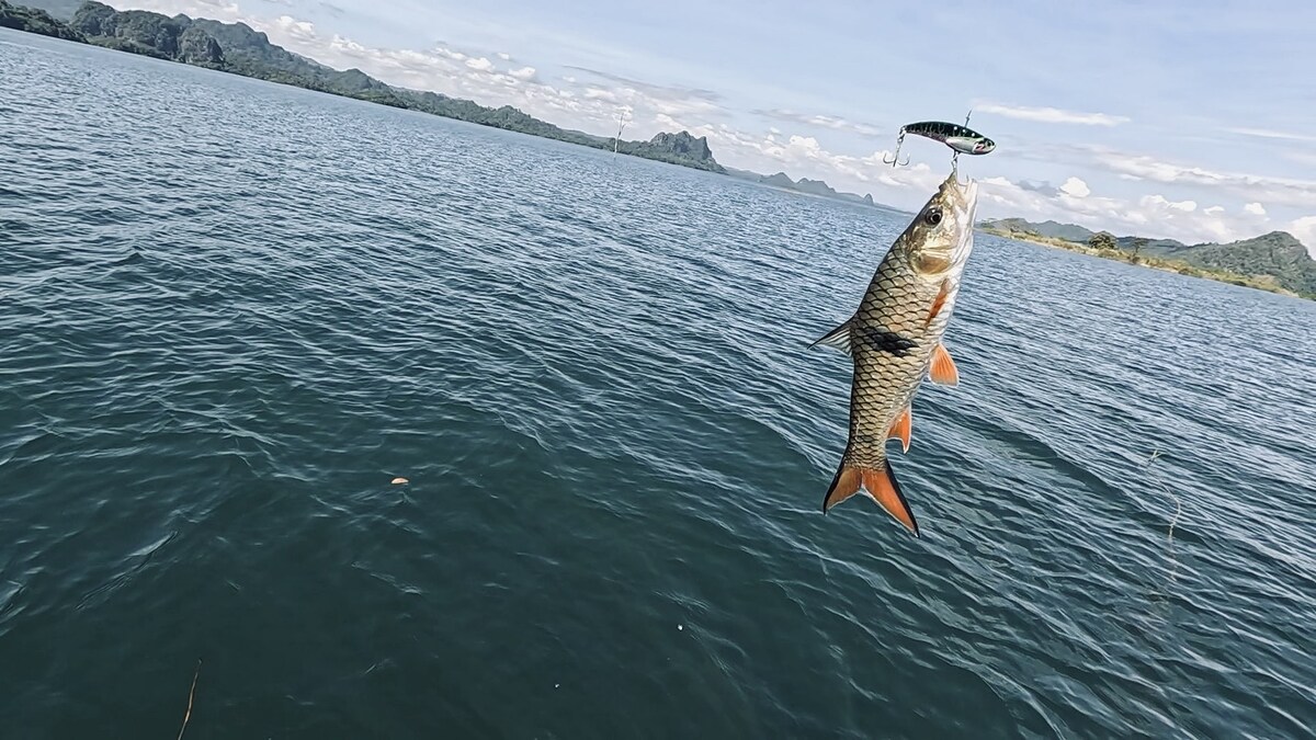 ได้มาเพิ่มอีกแต้มแต่ขนาดไม่ใหญ่ 
อ