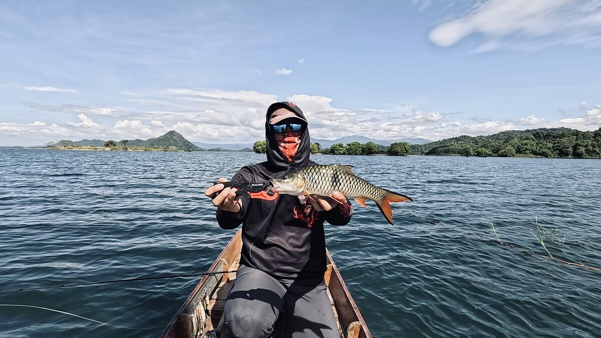 ขออภัยที่ขาดช่วงไปนานครับ ติดภารกิ