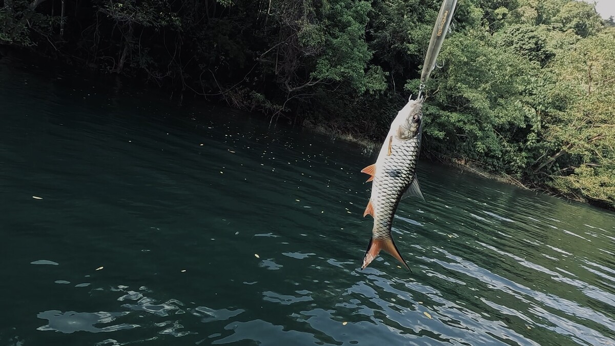 ปลายสายน้ำหนักเบามากๆหลังจากที่ผม