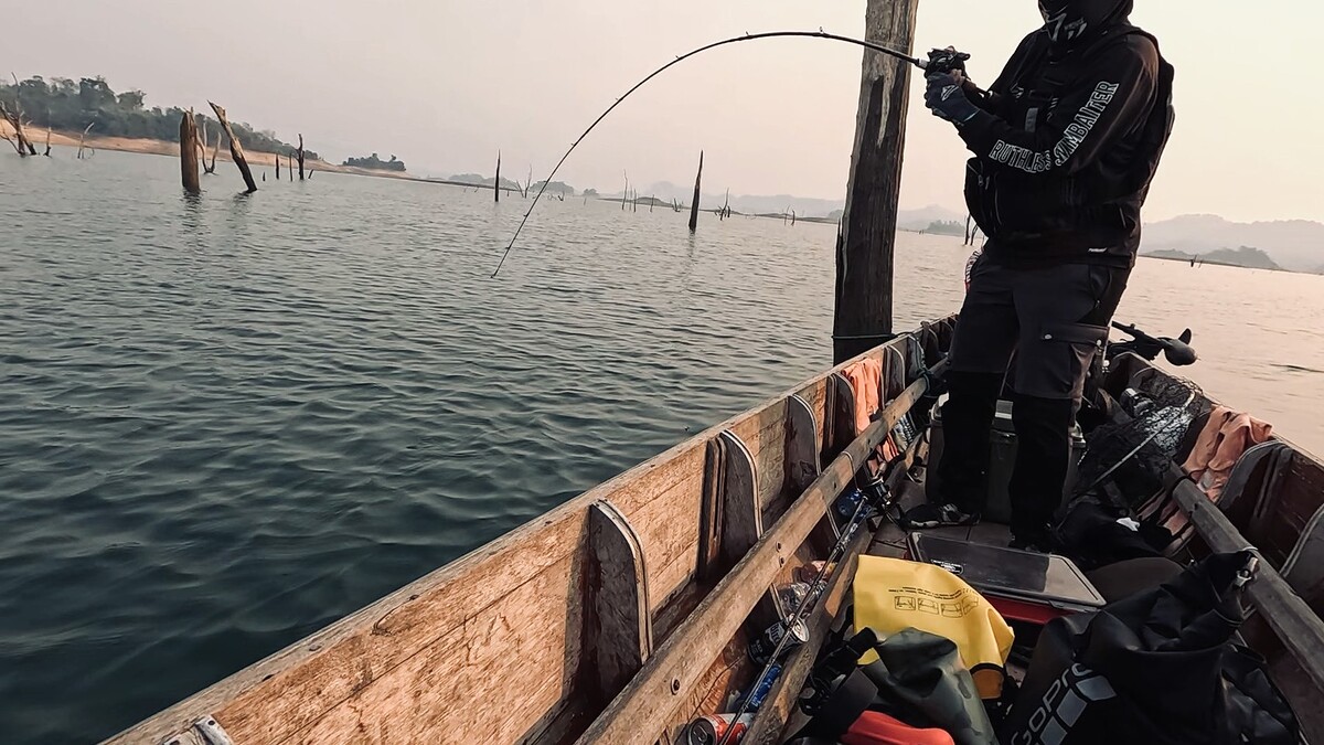 แล้วแบงค์ก็โดนบ้างครับ กัดใกล้ๆเรือเช่นกัน 
ตัวนี้พยายามจะหมุดเข้ากอไม้ใต้น้ำ ต้องงัดกันสุดฤทธิเลย 