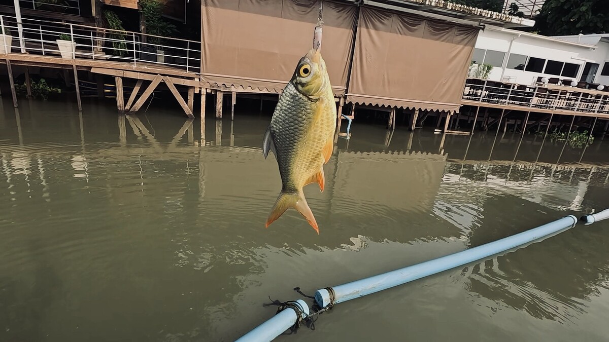 แต่พอลากมาใกล้ๆเห็นเกล็ดแวววาวสีท�