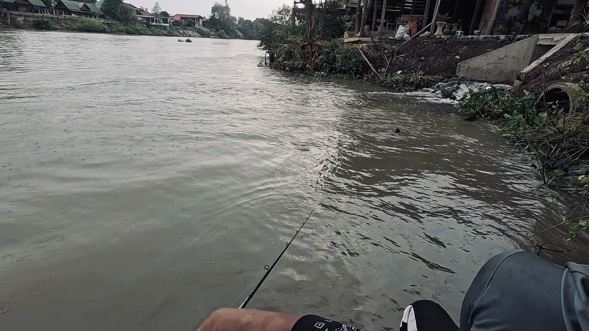 เรามาอาศัยหลบร่มใต้ต้นไม้ตรงหน้าท�