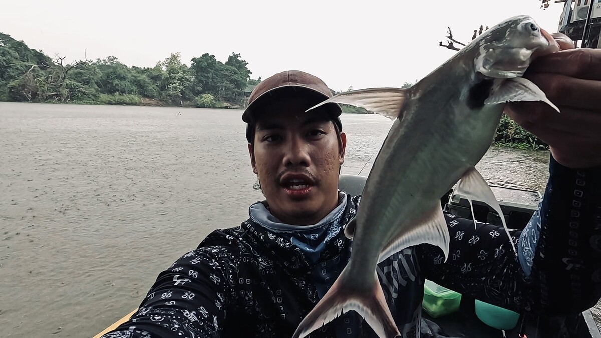 คราวนี้เป็นเทโพน้อยครับ ไซส์ไม่ใหญ