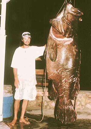 Great Fishing : }
I love the Shimanoreel, i have the same : ]
Can you tell me, where is Ranong? Ma