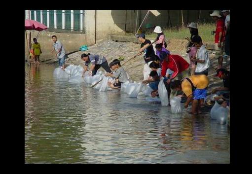 อีกมุมหนึ่งครับ  ช่วงจังหวะปล่อยปลานี้ จะแท็คทีมกันดีมาก

1. คนที่ปล่อยปลา เป็นคนในชุมชุนฯ ที่ไปร่