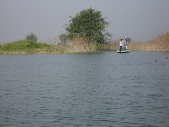 เรืออีกลำที่เข้ามาใกล้เราครับ โดนปลาชาร์จเหยื่อ และได้ปลากันทุกลำ อยู่ที่ว่าจะตัวใหญ่หรือตัวเล็กเท่า