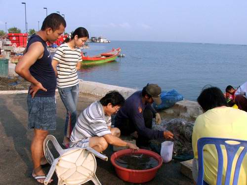 ตั้งหน้าตั้งตาดูด้วยความสนใจ :smile: