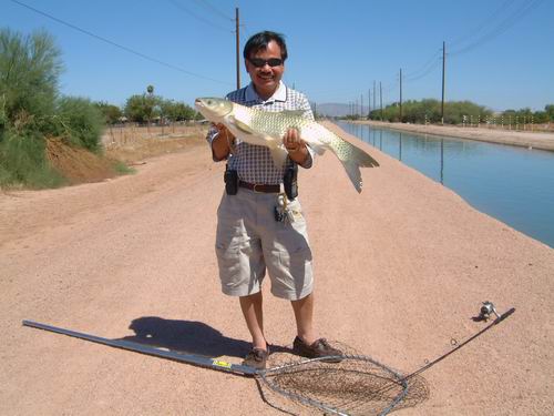 Carb fish in Arizona USA.2