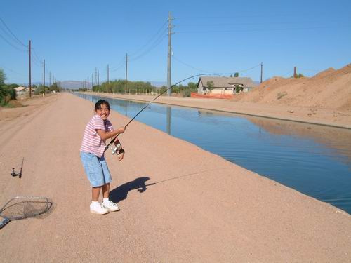 Carb fish in Arizona USA.4