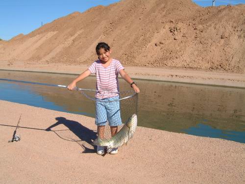 Carb fish in Arizona USA.5