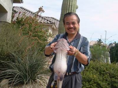 Catfish in Arizona USA.3