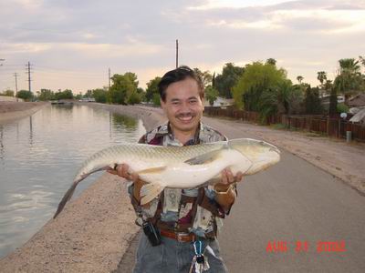 Carb Fish in Arizona USA 6