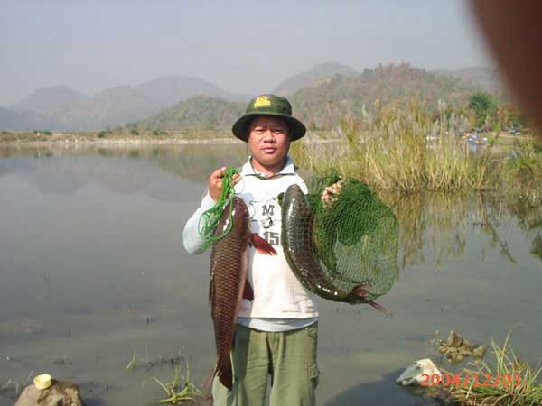 ยี่สกและนวลจันทร์ที่อ่างแม่หาด