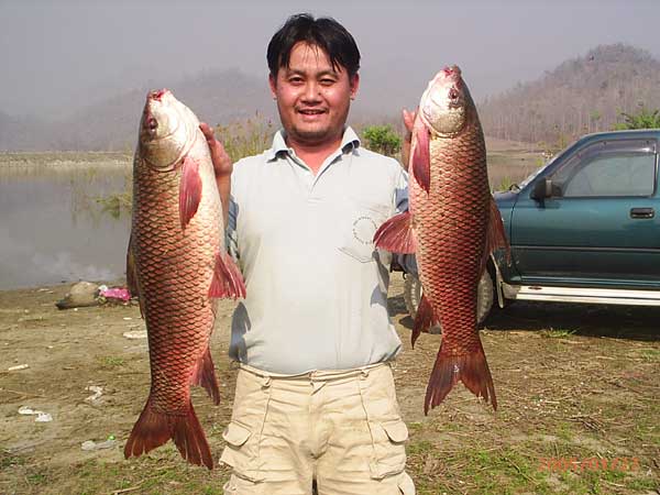 ยี่สกและนวลจันทร์ที่อ่างแม่หาด