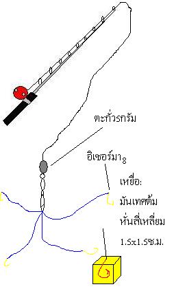 ปลายสายตกปลาไนที่ได้ผล
