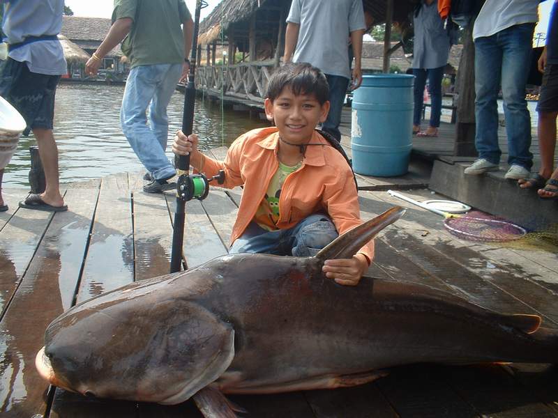 บึกบึงสำราญ โดย น้องเดียร์