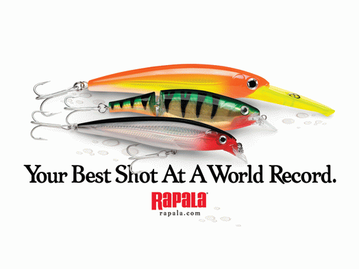 ภาพสวยๆ จาก RAPALA