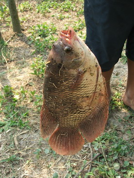 ตกปลามือใหม่ คันใหม่ฮาๆครับ