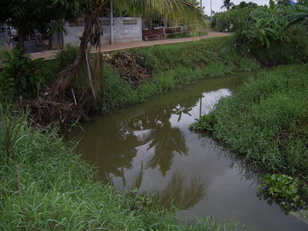 ตะเพียนหน้าบ้าน