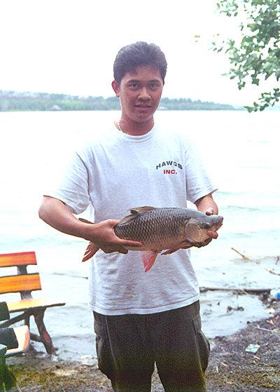 ยี่สกเทศ 1