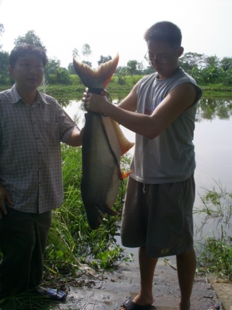 เทโพธรรมชาติ