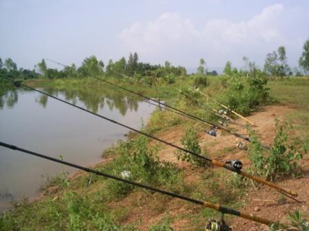 เทโพธรรมชาติ