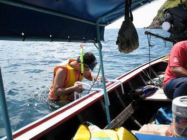 ลันตาฮาเฮ