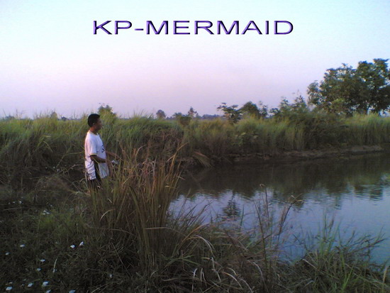 วันหยุดกับปลาช่อนตัวน้อย kp mermaid