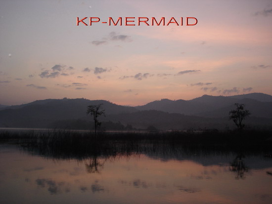 กระสูบ 5 กิโลที่แพ kp mermaid ส่งท้ายปี 2006