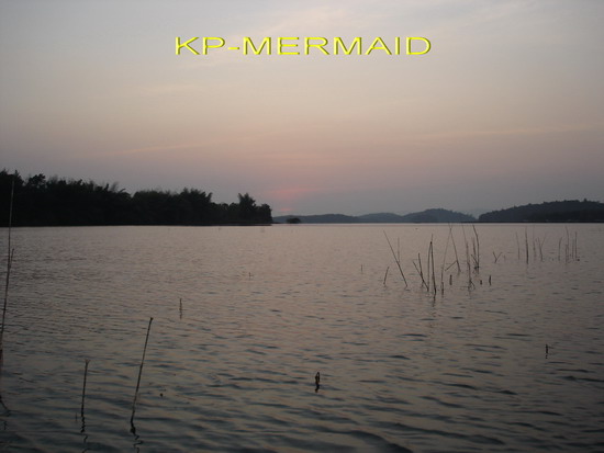 กระสูบ 5 กิโลที่แพ kp mermaid ส่งท้ายปี 2006