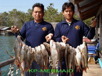 ต้อนรับปี 2007 กับกระสูบฝูงบ้า  kp mermaid