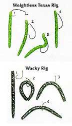 เทคนิคการใช้เหยื่อยาง(ริก)