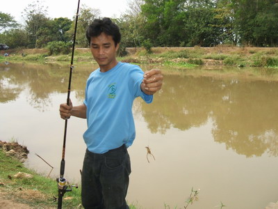 กระเบนคลองระพีพัฒน์