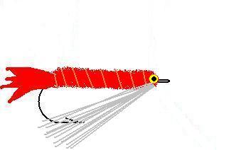 Fly tying- Eye shrimp
