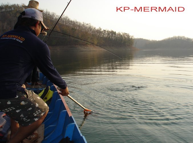 ตรุษจีน รับอั่งเปา ที่แพkp_mermaid