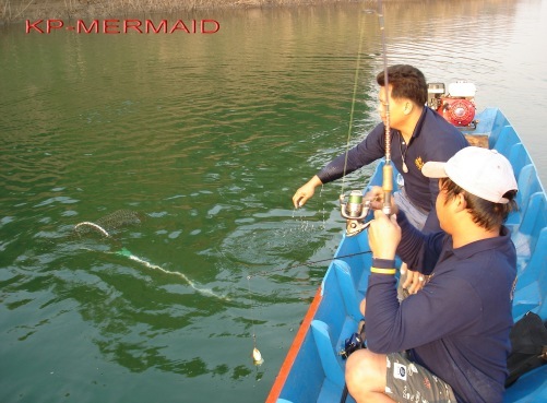 ตรุษจีน รับอั่งเปา ที่แพkp_mermaid