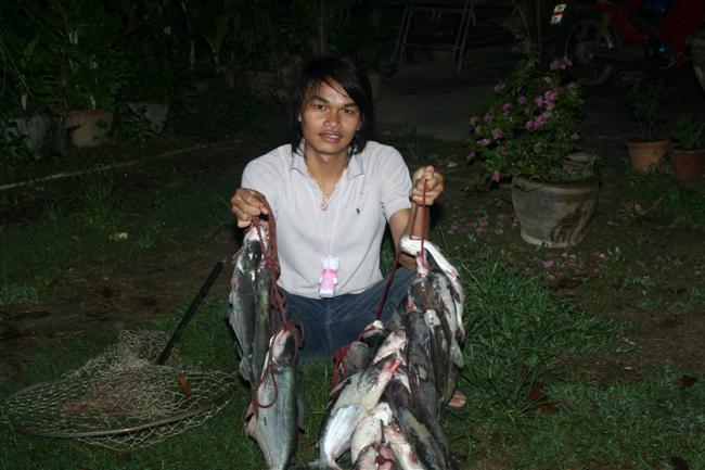 ทิปเล็กๆๆที่เมืองกาญจนบุรี ปลามรกต