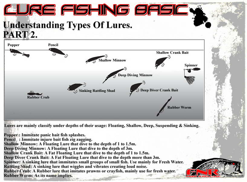 Lure Fishing Basic Guide