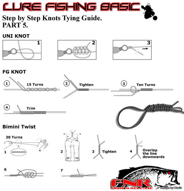 Lure Fishing Basic Guide
