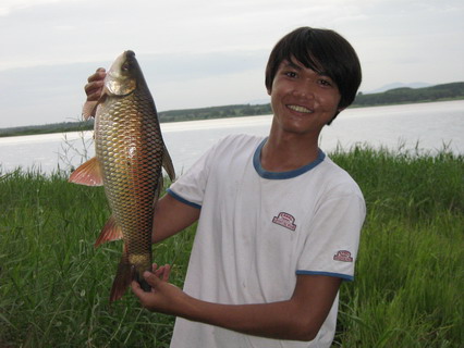 เก็บมาได้ 2 ตัว(ดอกกราย)