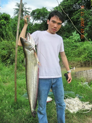 ปลาเราตกเอง