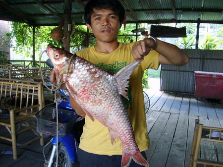ไปลอง..ตะตะตะโกก มาครับ...2
