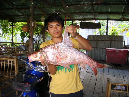 ไปลอง..ตะตะตะโกก มาครับ...2