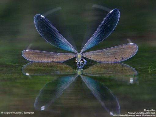 ภาพธรรมชาติสวยๆ