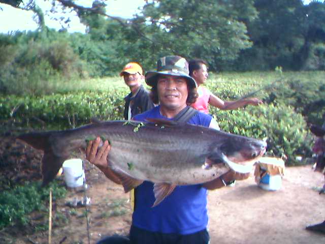 โอ้...พระเจ้าช่วยกล้วยทอด