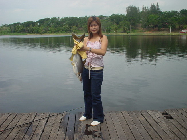 ขาวๆอวบๆที่เรือนแพ หนองจอก(กระทู้คลายเครียด)